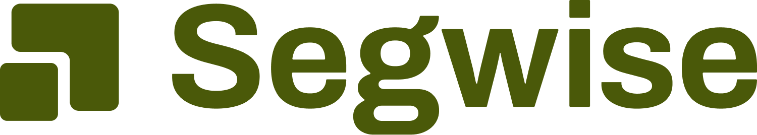 Segwise Logo