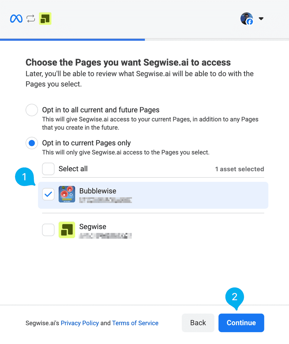 Meta Step 2: Choose Facebook Page(s) screenshot 1