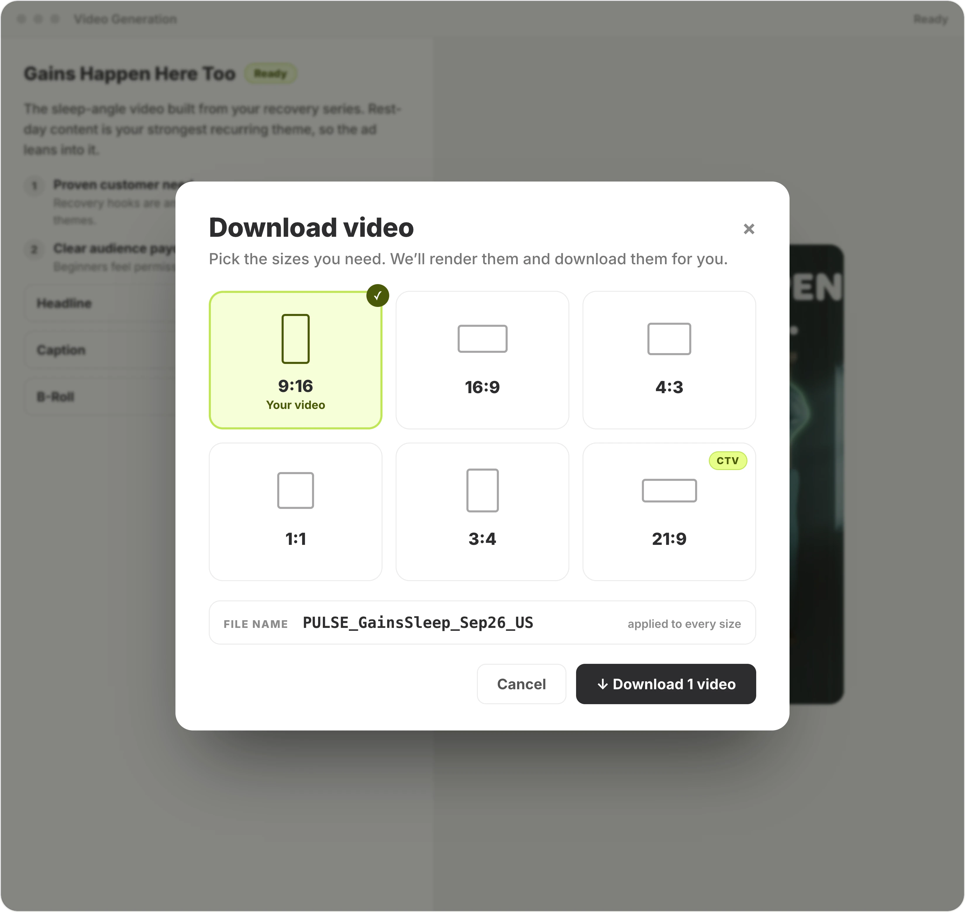 Segwise download dialog with every aspect ratio including CTV